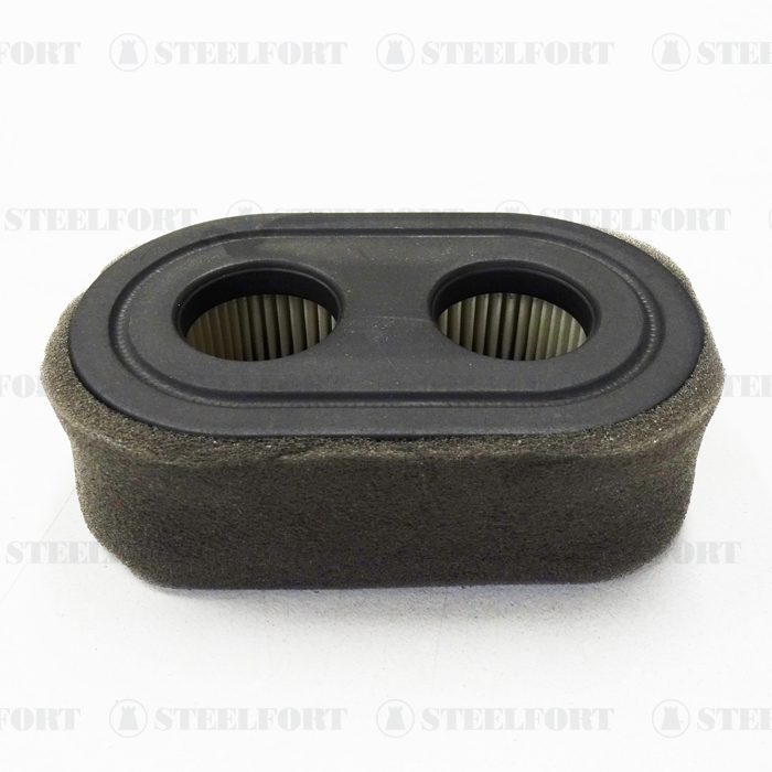 Briggs & Stratton 798452 with Pre-Filter