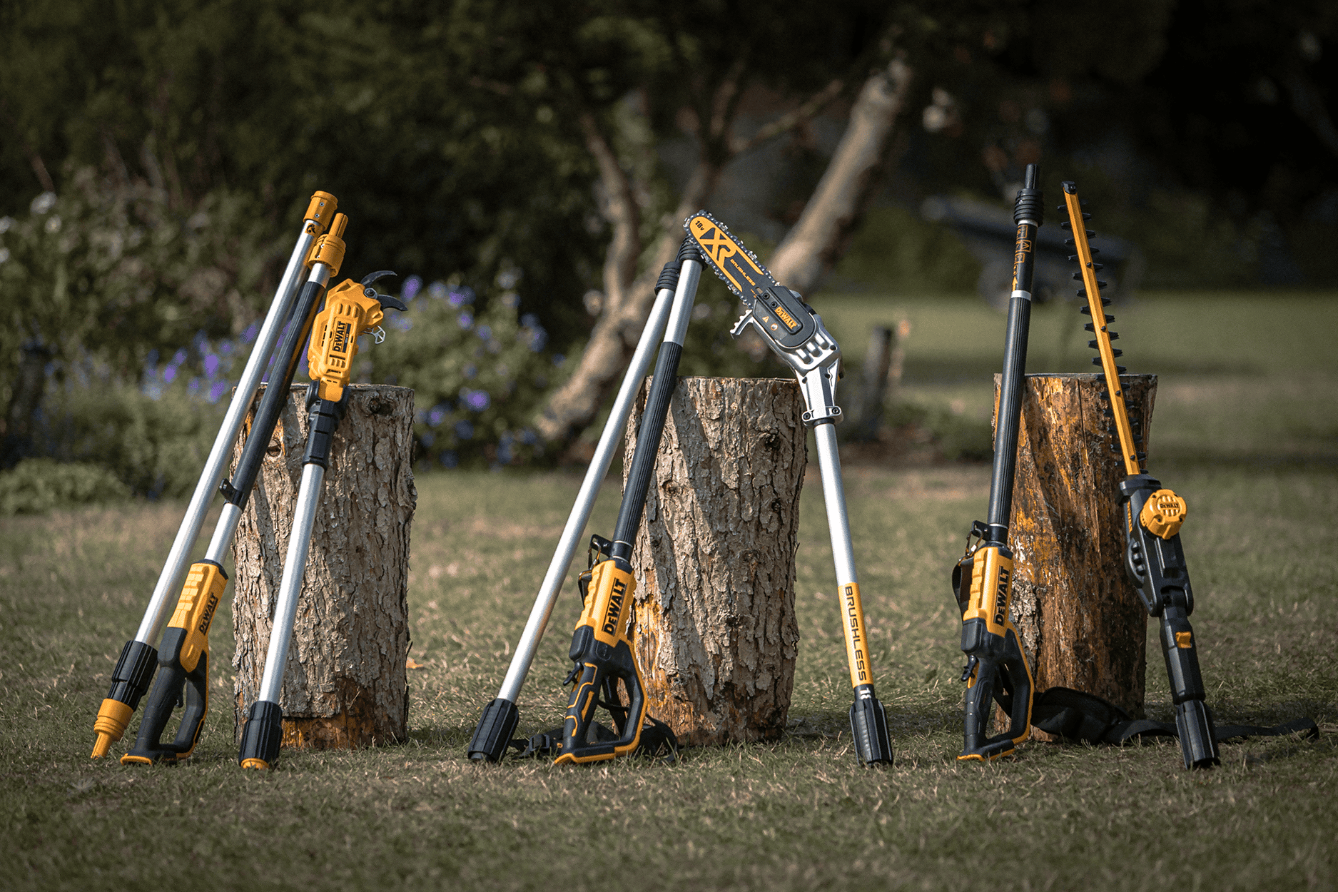 DW_Three-Pole-Saws-Against-Stumps_G1